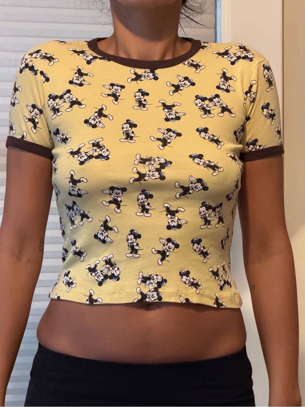 Disney x zara shirt